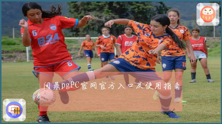 问鼎pgPC官网官方入口及使用指南