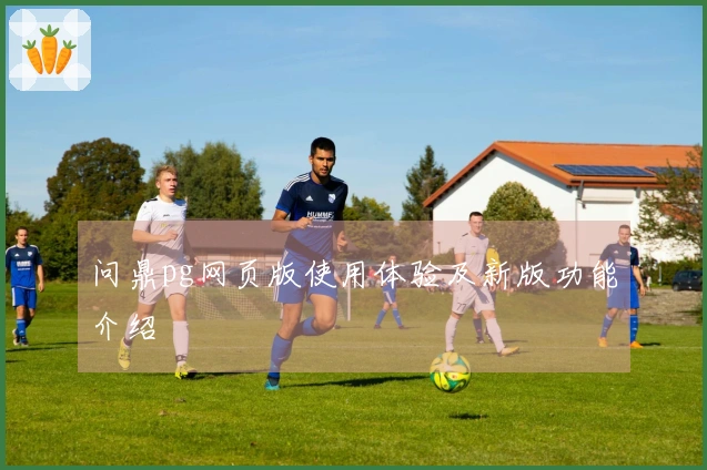 问鼎pg网页版使用体验及新版功能介绍
