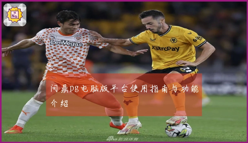 问鼎pg电脑版平台使用指南与功能介绍